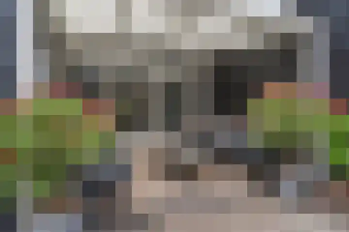 Oranjesingel 13 Hedel thumbnail 26