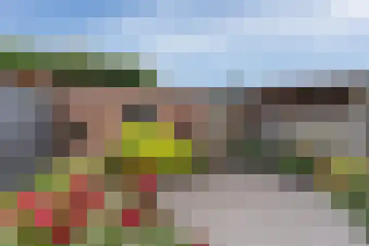 Oranjesingel 13 Hedel thumbnail 28