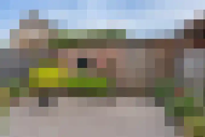 Oranjesingel 13 Hedel thumbnail 29
