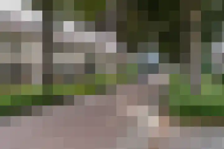 Oranjesingel 13 Hedel thumbnail 31