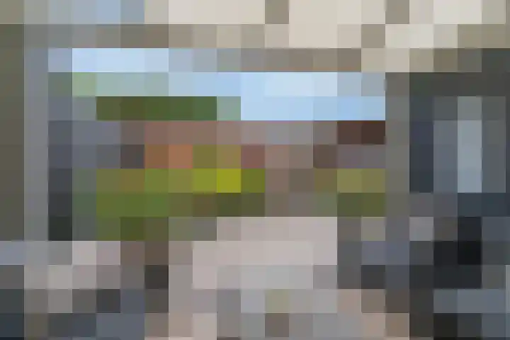 Oranjesingel 13 Hedel thumbnail 4