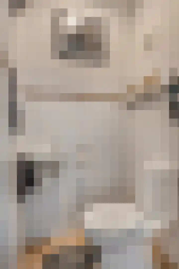 Oranjesingel 13 Hedel thumbnail 8