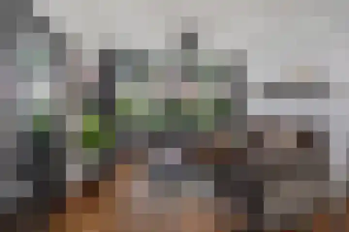 Oranjesingel 13 Hedel thumbnail 9
