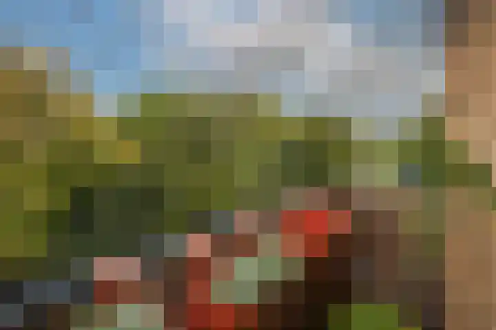 Oranjesingel 16 Beek thumbnail 16