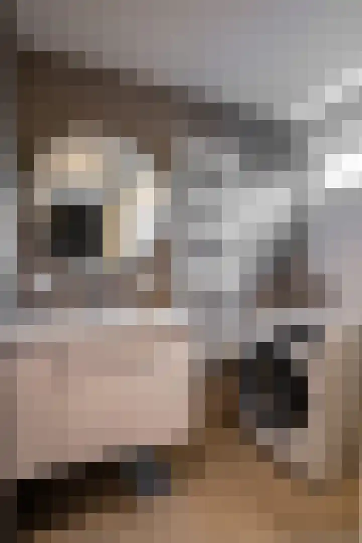 Oranjesingel 16 Beek thumbnail 17