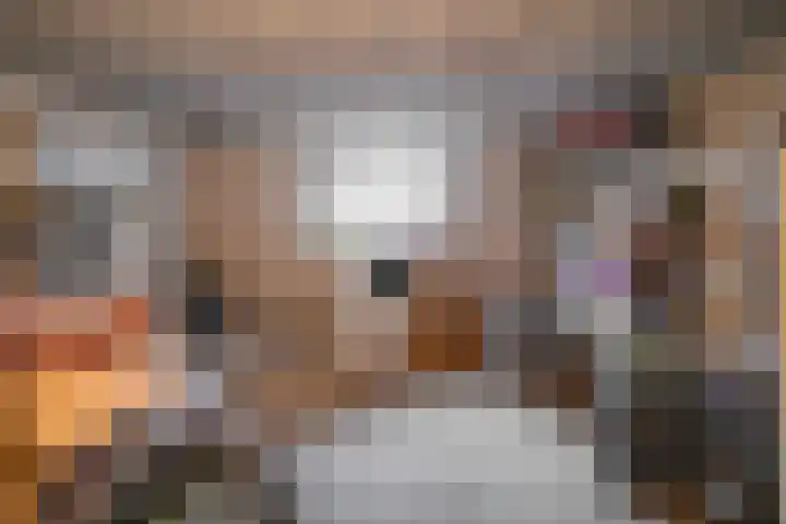 Oranjesingel 16 Beek thumbnail 26