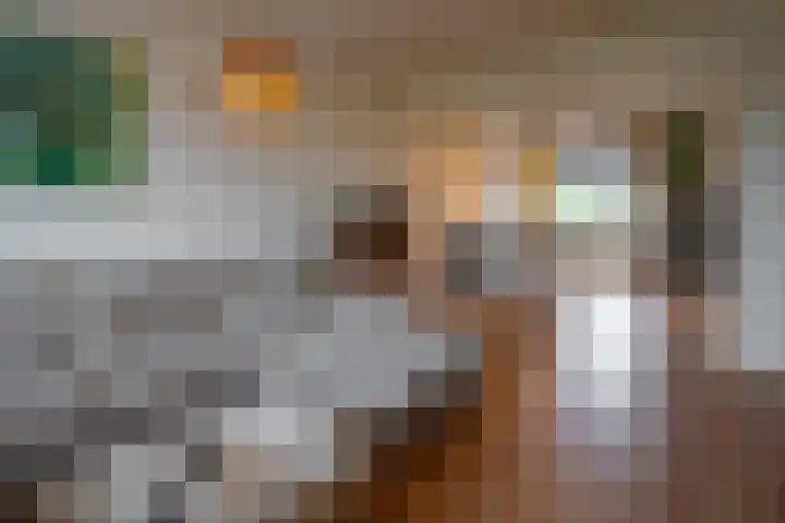 Oranjesingel 16 Beek thumbnail 8