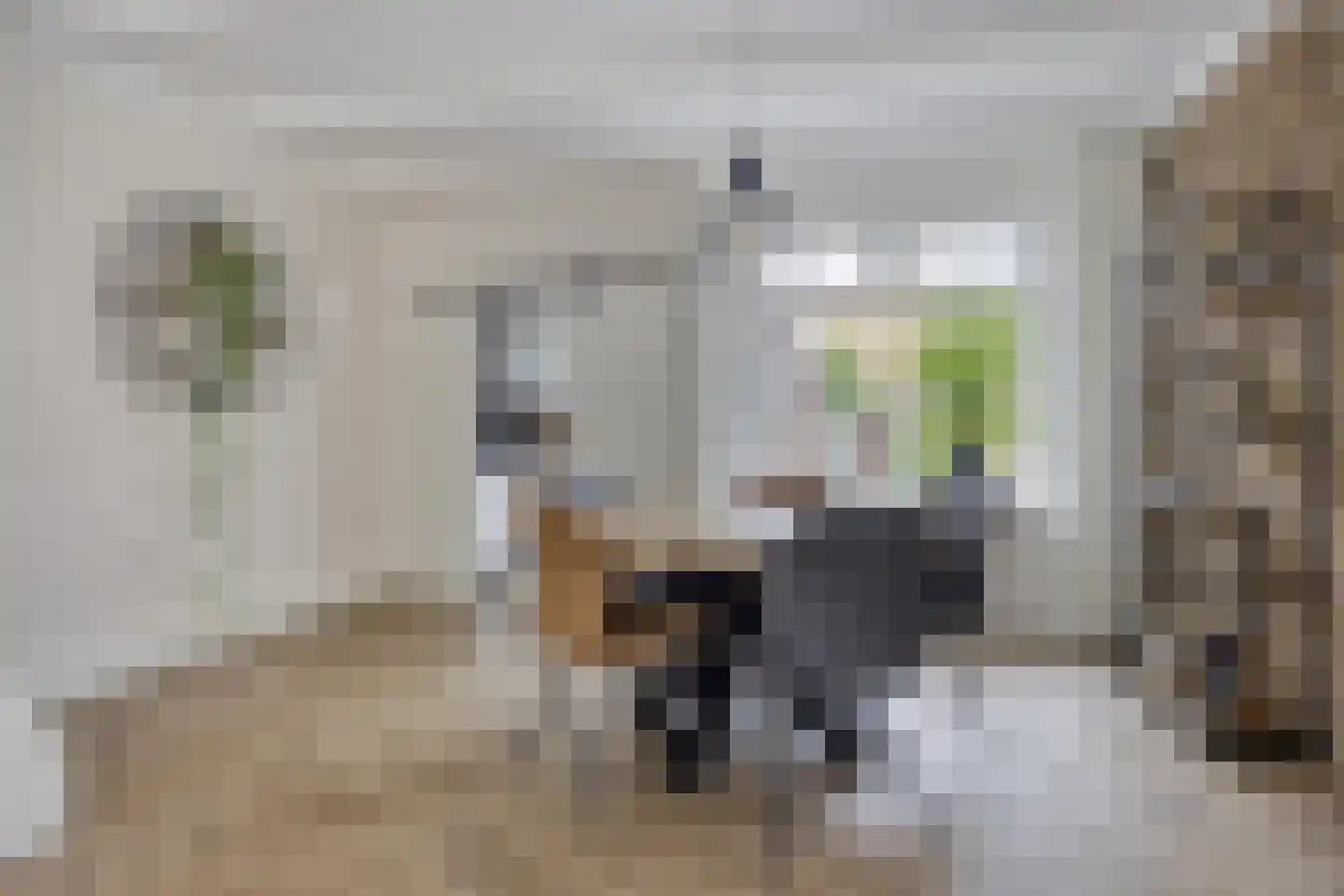 Oranjesingel 27 Kampen thumbnail 10
