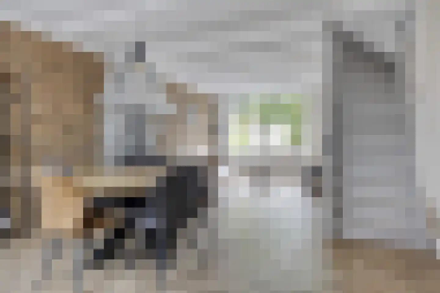 Oranjesingel 27 Kampen thumbnail 11