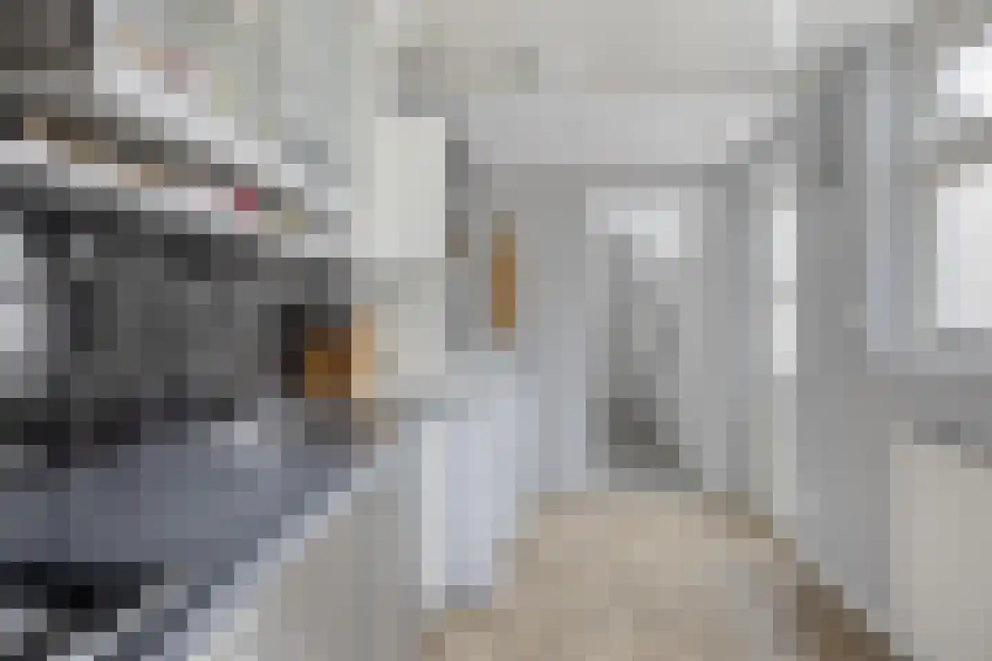 Oranjesingel 27 Kampen thumbnail 15