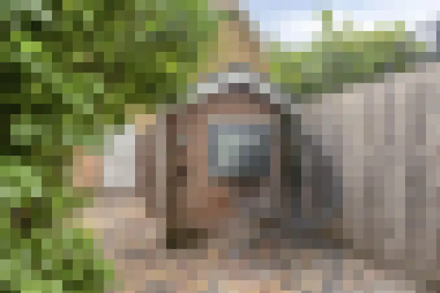 Oranjesingel 27 Kampen thumbnail 29