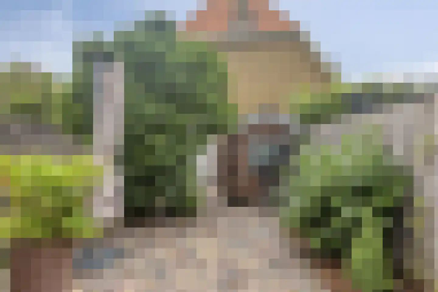Oranjesingel 27 Kampen thumbnail 30