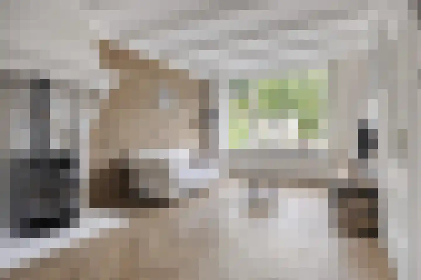 Oranjesingel 27 Kampen thumbnail 5