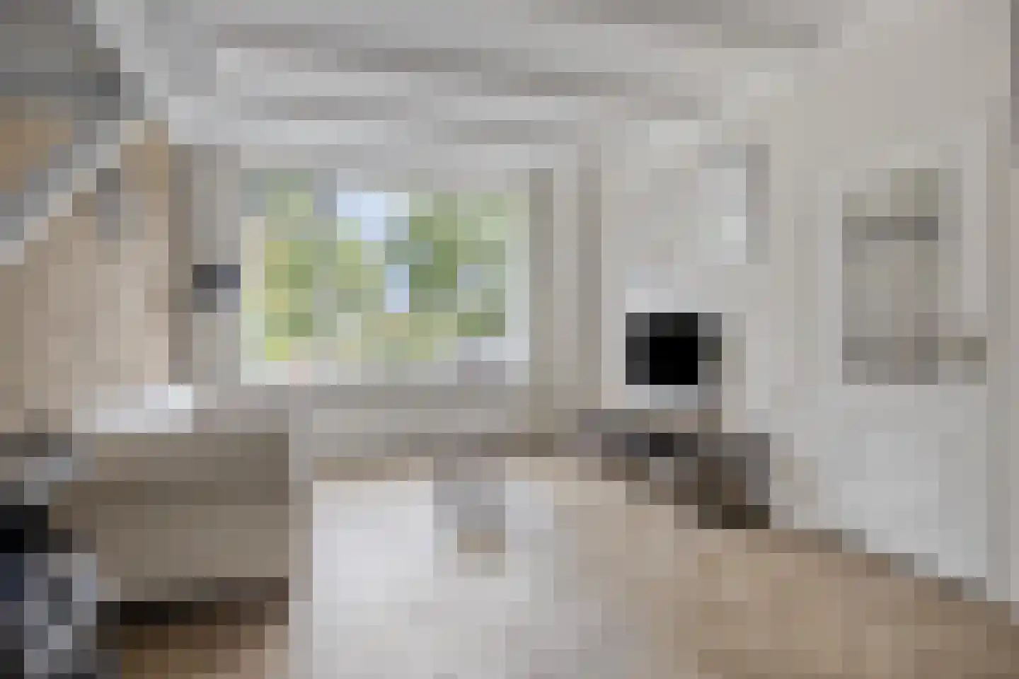 Oranjesingel 27 Kampen thumbnail 6