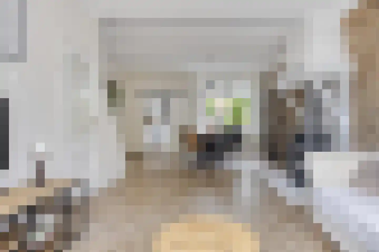 Oranjesingel 27 Kampen thumbnail 8