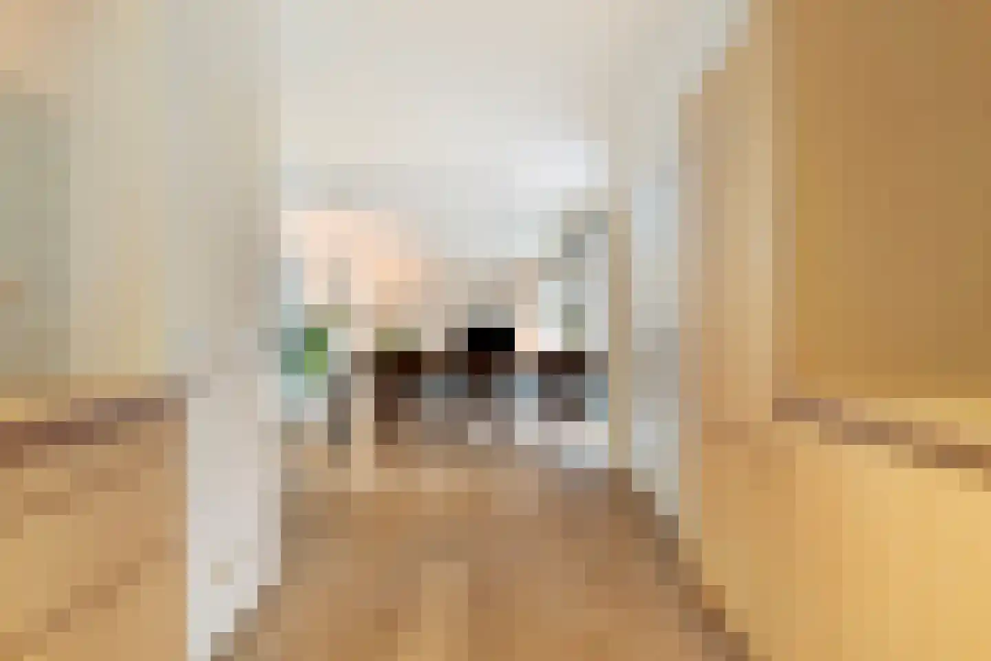 Oranjesingel 69 Nijmegen thumbnail 19
