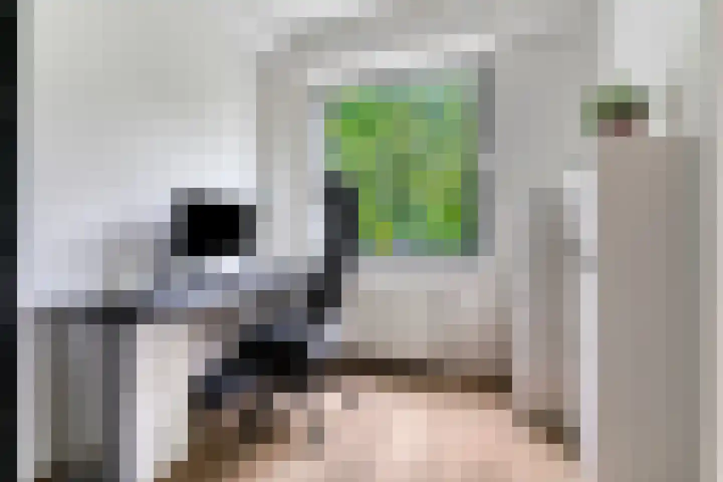 Oranjesingel 69 Nijmegen thumbnail 33