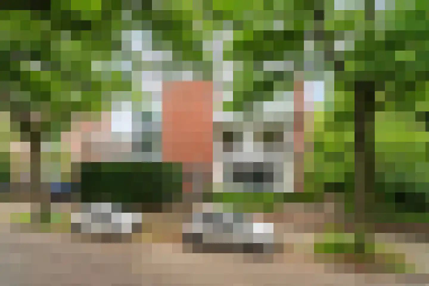Oranjesingel 69 Nijmegen thumbnail 38