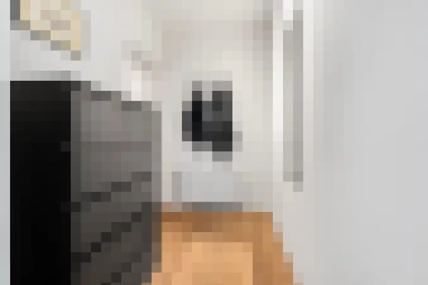 Oranjesingel 69 Nijmegen thumbnail 6