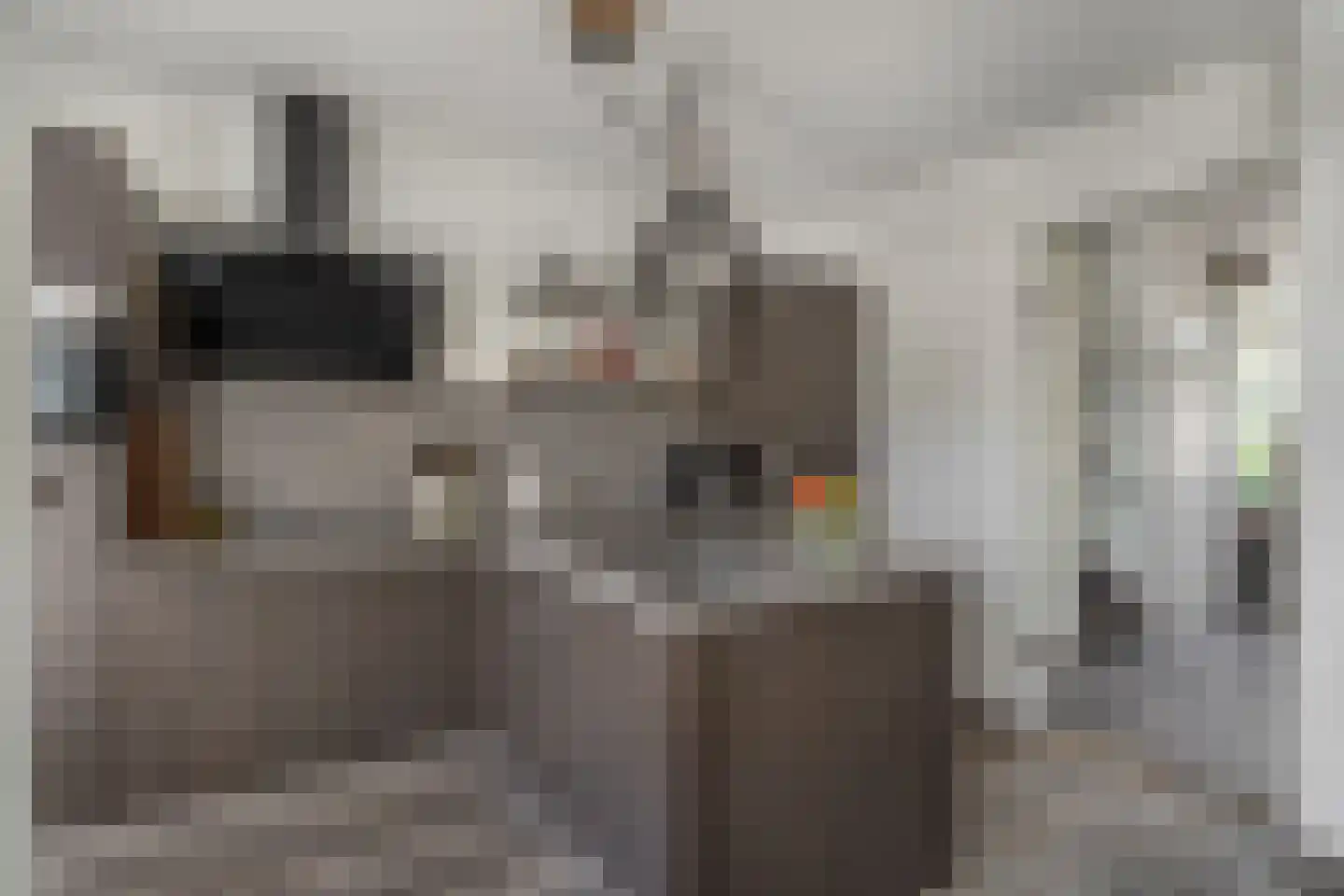 Oranjesingel 7 Hedel thumbnail 10
