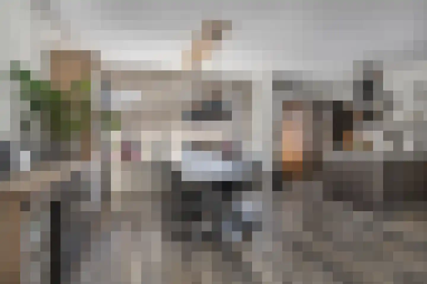 Oranjesingel 7 Hedel thumbnail 13