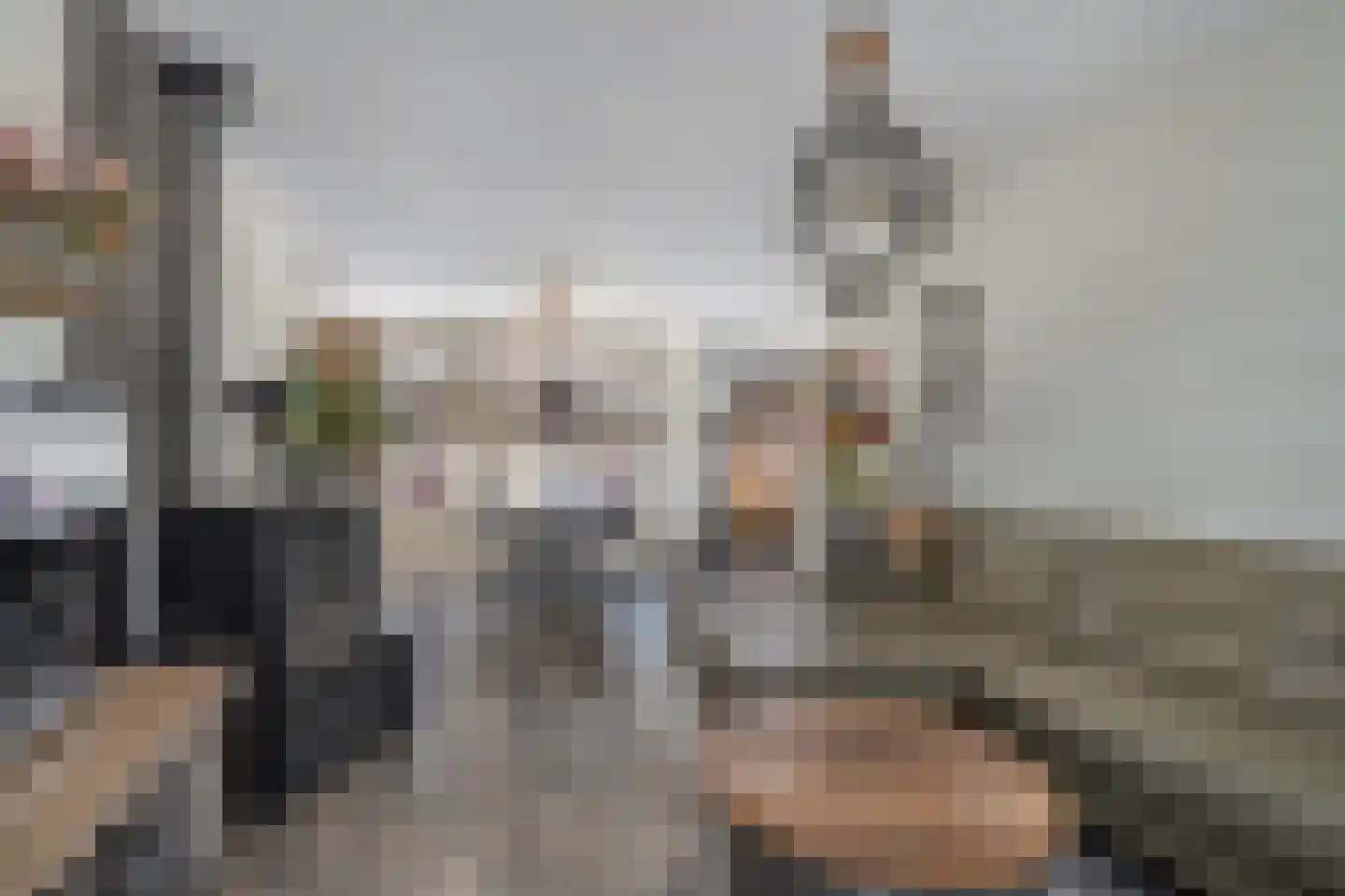 Oranjesingel 7 Hedel thumbnail 14