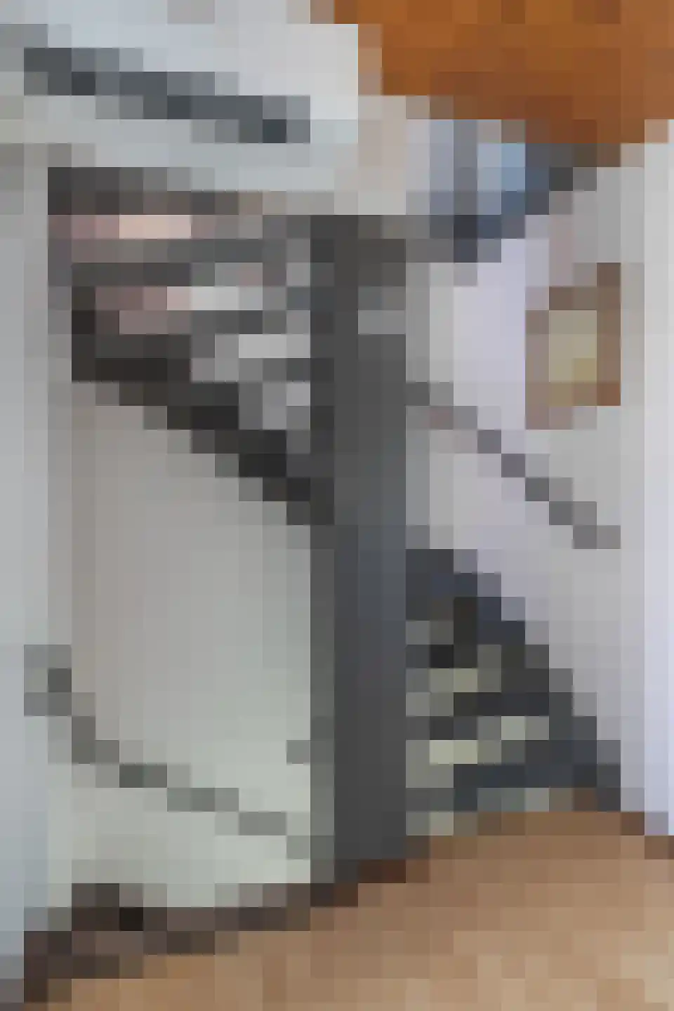 Oranjesingel 7 Hedel thumbnail 16