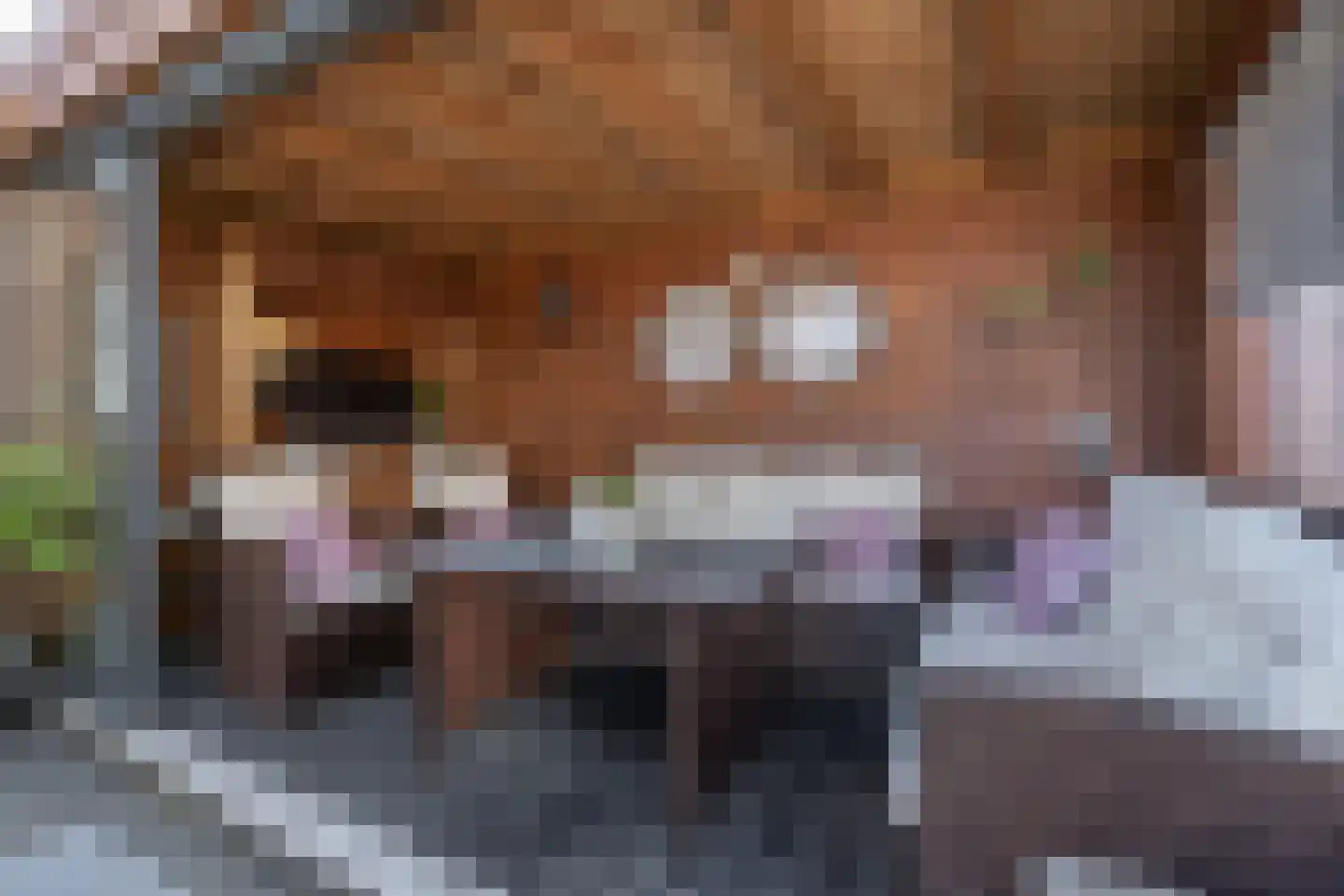 Oranjesingel 7 Hedel thumbnail 30
