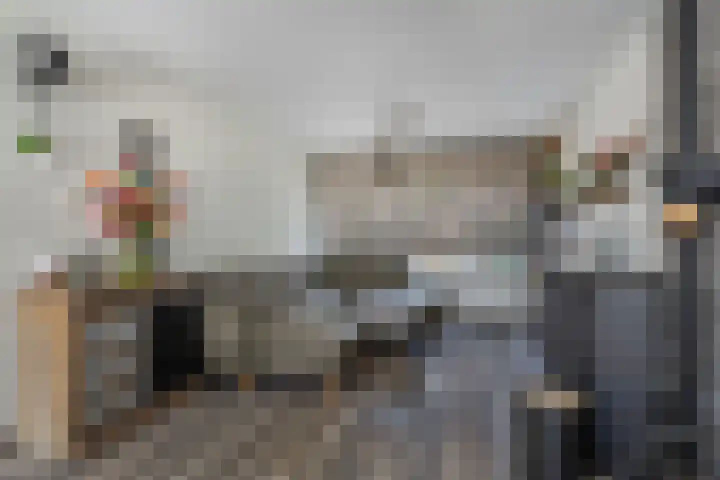 Oranjesingel 7 Hedel thumbnail 5