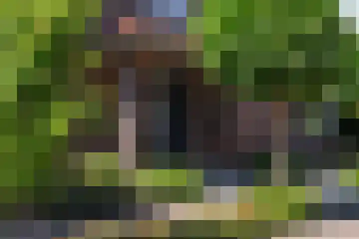 Oranjestein 30 Bleiswijk thumbnail 4