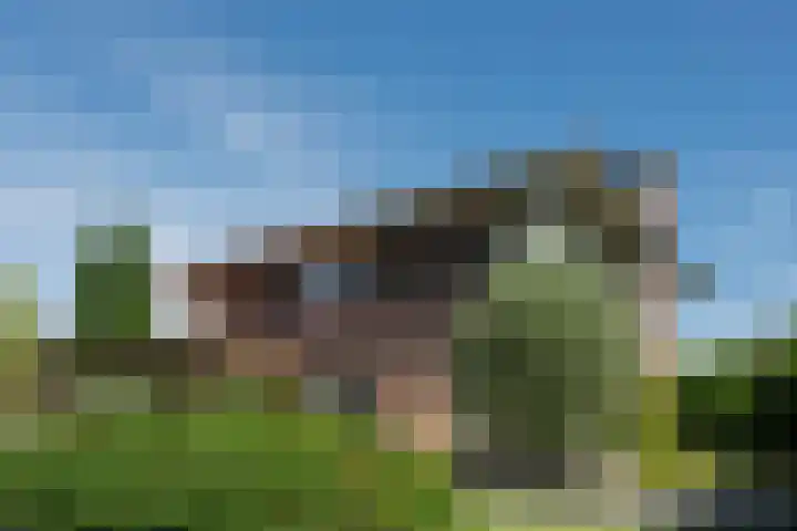 Oranjestein 30 Bleiswijk thumbnail 46