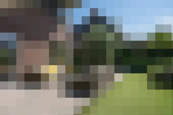Oranjestein 30 Bleiswijk thumbnail 48