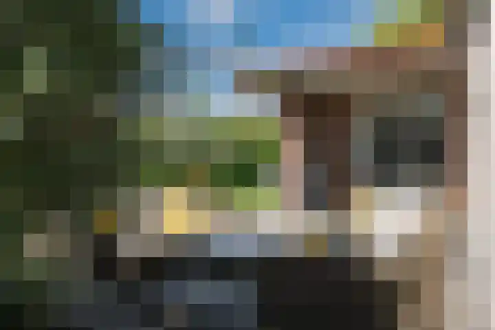 Oranjestein 30 Bleiswijk thumbnail 50