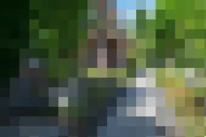 Oranjestein 30 Bleiswijk thumbnail 52