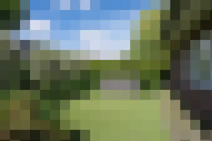 Oranjestein 30 Bleiswijk thumbnail 60