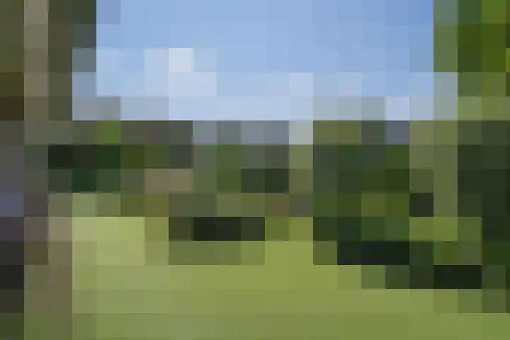 Oranjestein 30 Bleiswijk thumbnail 61