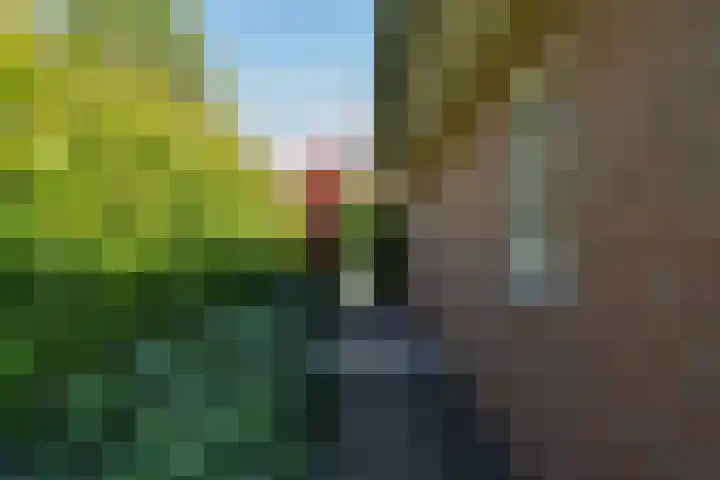Oranjestein 30 Bleiswijk thumbnail 62