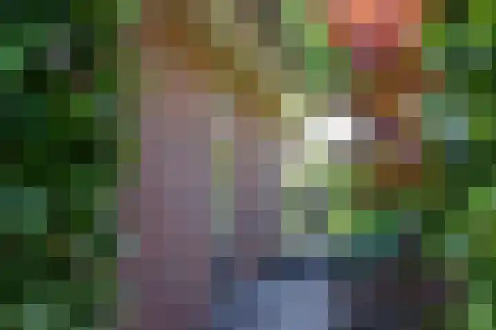 Oranjestein 30 Bleiswijk thumbnail 63