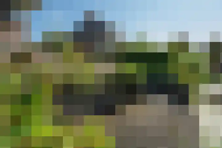 Oranjestein 30 Bleiswijk thumbnail 64