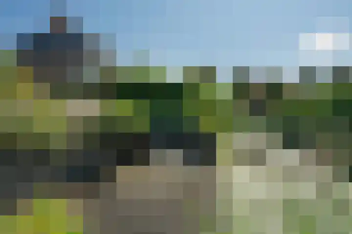 Oranjestein 30 Bleiswijk thumbnail 65