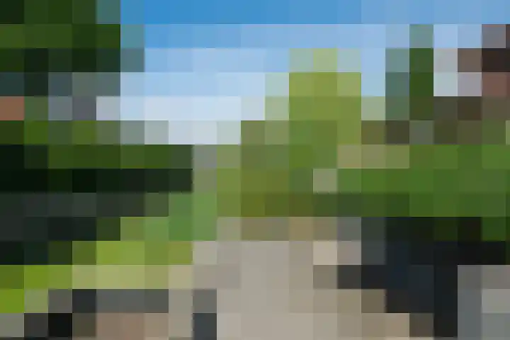 Oranjestein 30 Bleiswijk thumbnail 66