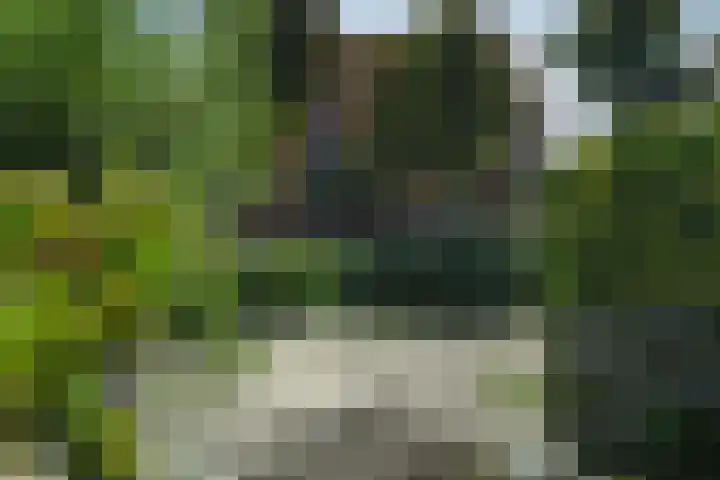 Oranjestein 30 Bleiswijk thumbnail 67