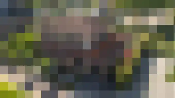 Oranjestein 30 Bleiswijk thumbnail 68