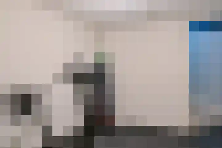 Oranjestein 30 Bleiswijk thumbnail 9
