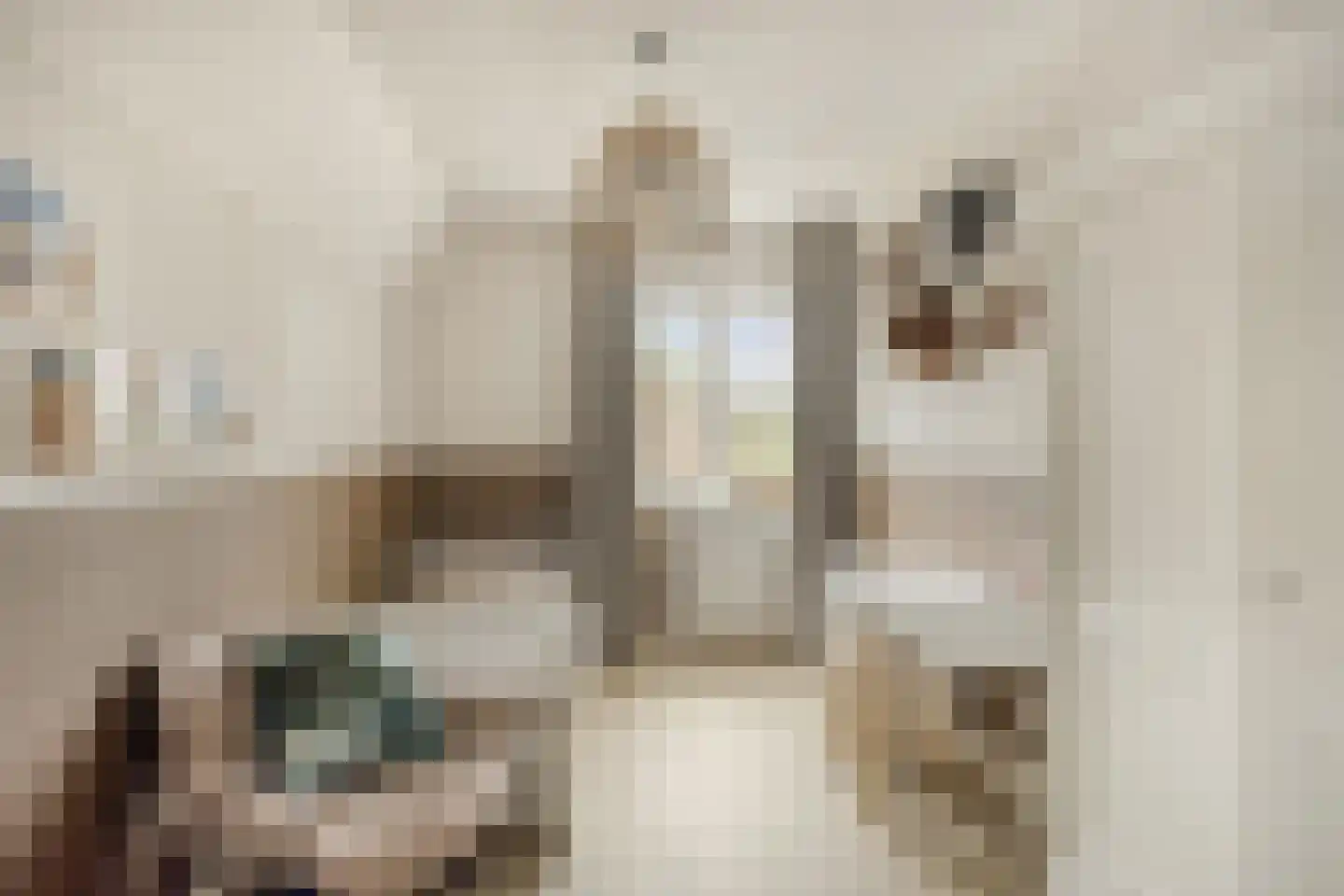 Oranjestraat 1 a Ochten thumbnail 16