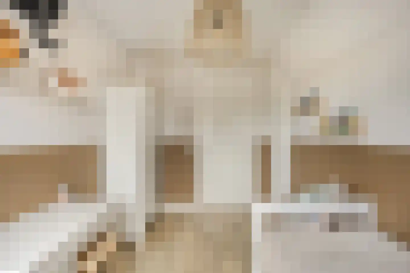 Oranjestraat 1 a Ochten thumbnail 17