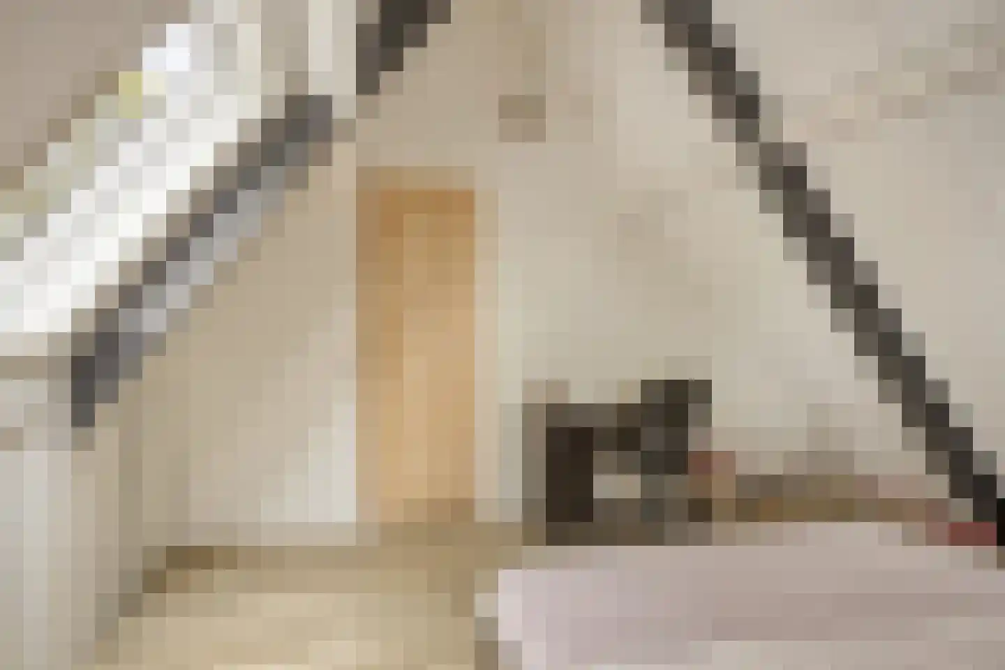 Oranjestraat 1 a Ochten thumbnail 29