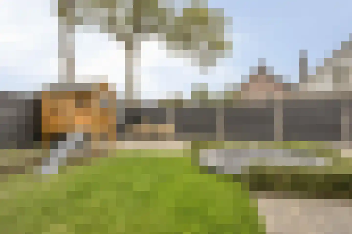 Oranjestraat 1 a Ochten thumbnail 35