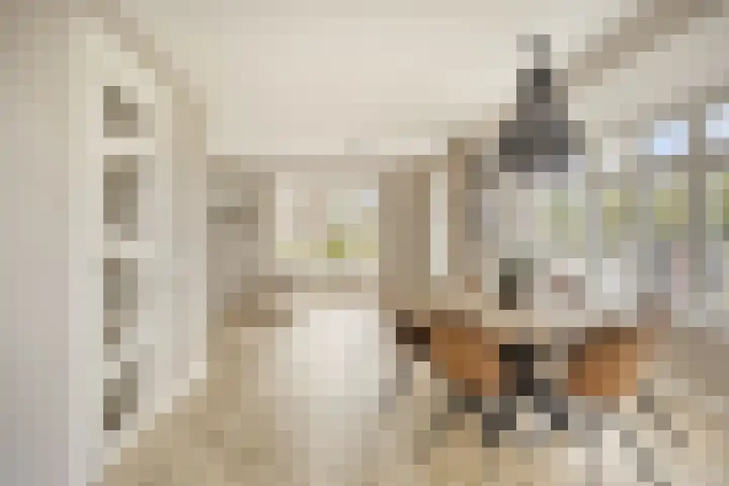 Oranjestraat 1 a Ochten thumbnail 5