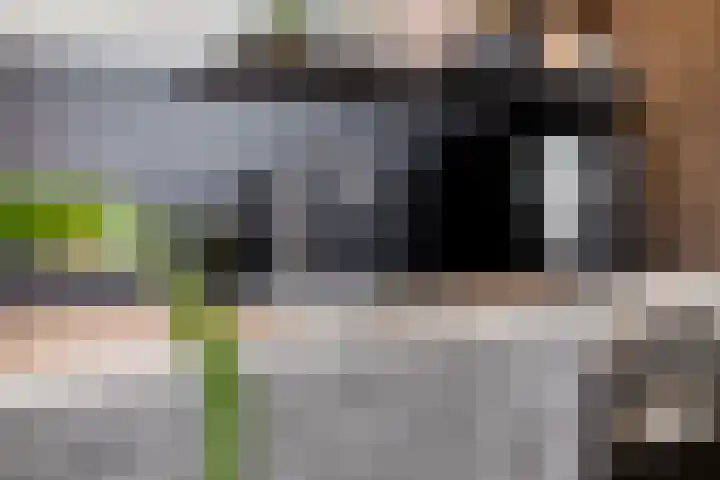 Oranjestraat 1 C Nuenen thumbnail 16